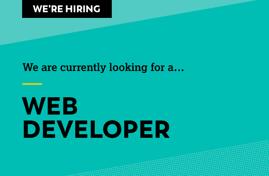 Looking for another web developer